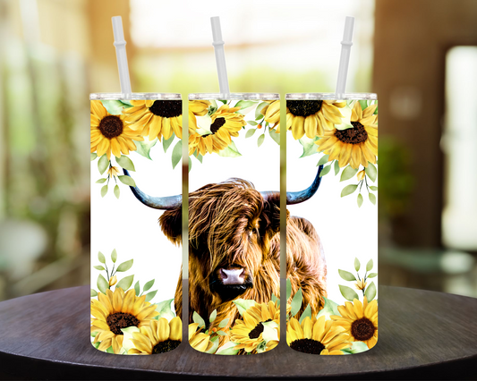 The Sun & The Moo